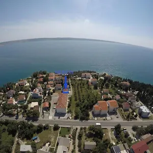Merion , Starigrad Paklenica Croatia